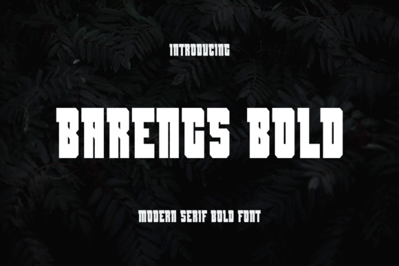 Barengs: A Bold Serif Font for Scroll-Stopping Marketing
