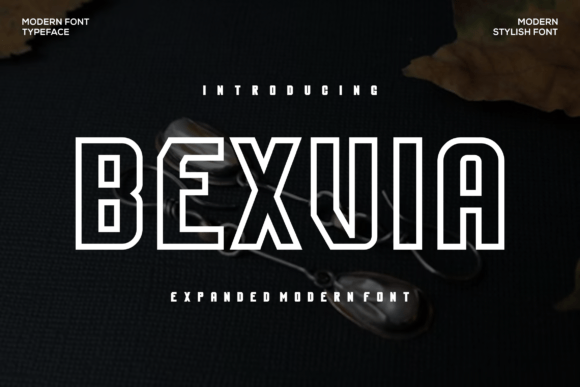 Bexvia: A Bold, Modern Sans Serif Font for Campaign Clarity