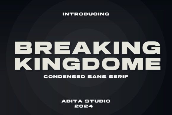 Breaking Kingdome: A Bold Sans Serif Font for Handmade Creators