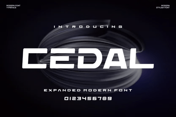 Cedal: A Bold, Clear Sans Serif Font for Campaign Impact