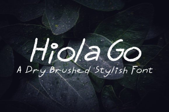 Hiola Go: A Modern Handwritten Font for Thoughtful Editorial Design