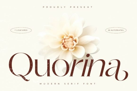 Quorina: A Modern Serif Font for Scroll-Stopping Brand Content