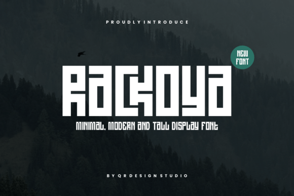 Rackoya: A Playful Yet Polished Sans Serif Font for Small Business Branding
